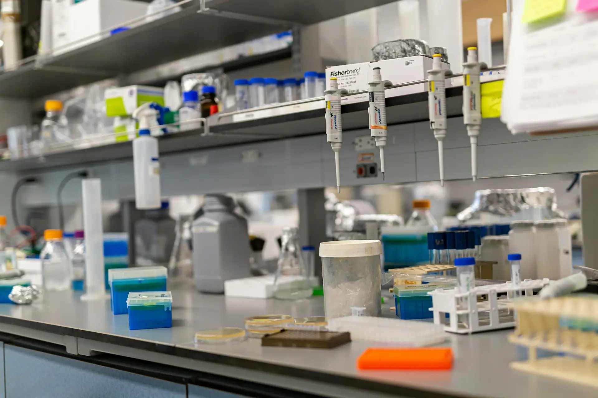 Laboratory bench with pipettes and sample tubes